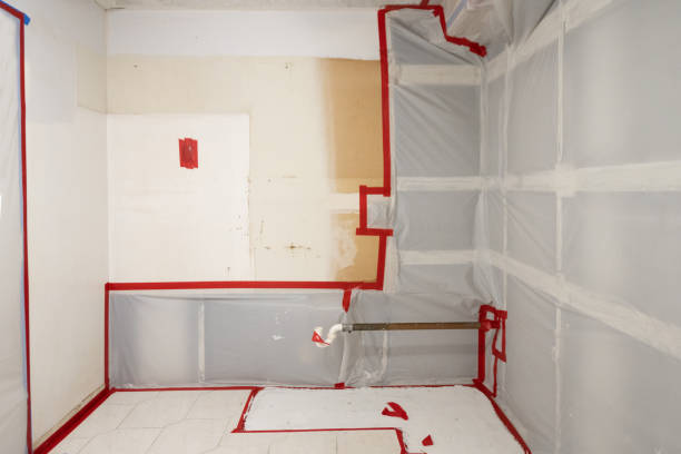 Best Environmental Consulting for Mold Prevention  in Lake Riverside, CA