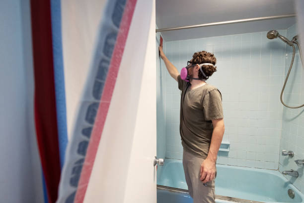 Lake Riverside, CA Mold Removal Company