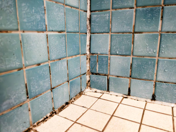 Best Residential Mold Inspection & Testing  in Lake Riverside, CA